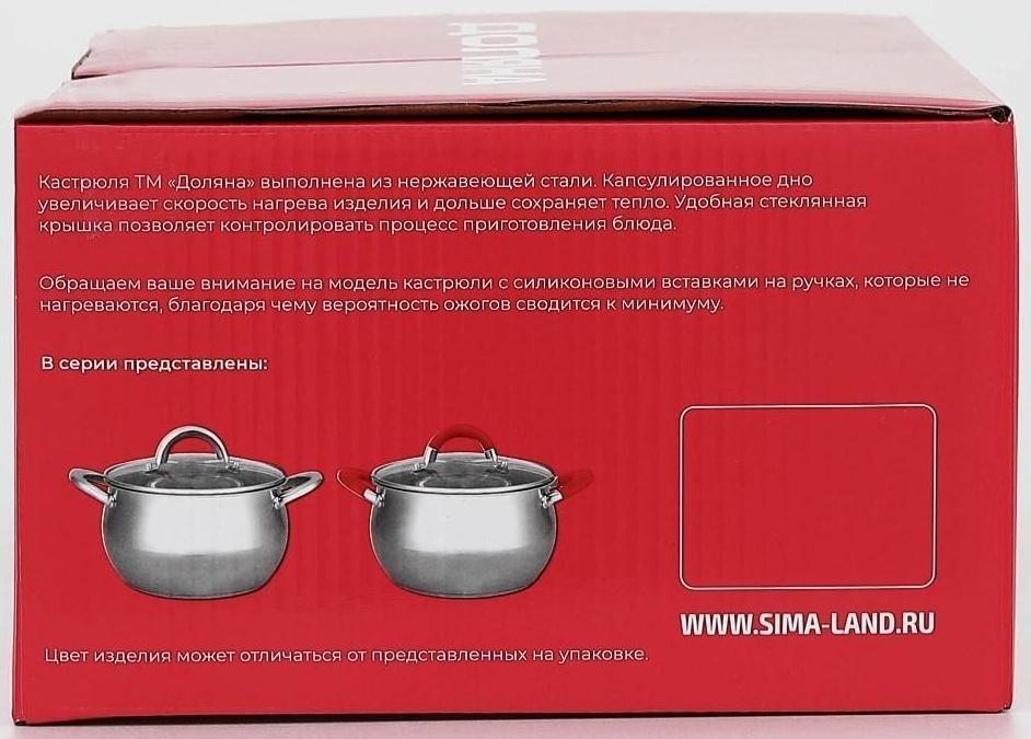 Кастрюля из нержавеющей стали Доляна «Вернер», 1,9 л, d=16 см, стеклянная крышка