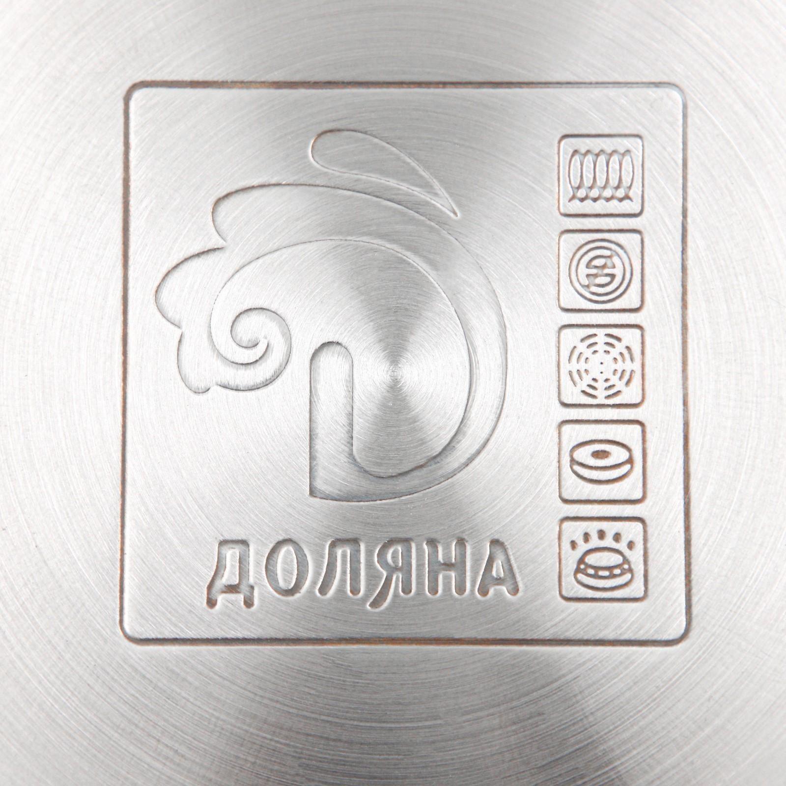 Кастрюля из нержавеющей стали Доляна «Вернер», 2,5 л, d=18 см, стеклянная крышка