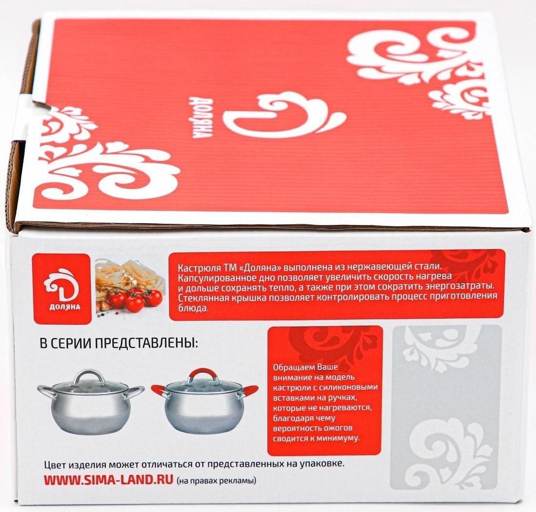Кастрюля из нержавеющей стали Доляна «Вернер», 2,5 л, d=18 см, стеклянная крышка