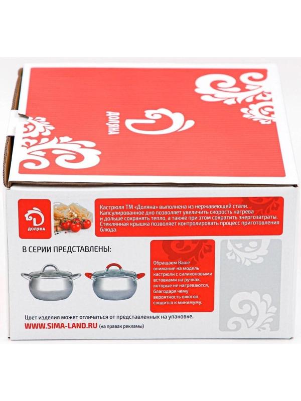 Кастрюля из нержавеющей стали Доляна «Вернер», 2,5 л, d=18 см, стеклянная крышка