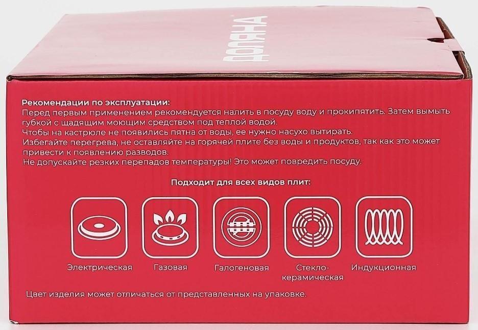 Кастрюля из нержавеющей стали Доляна «Гретте», 3,2 л, d=20 см, стеклянная крышка, капсульное дно, индукция