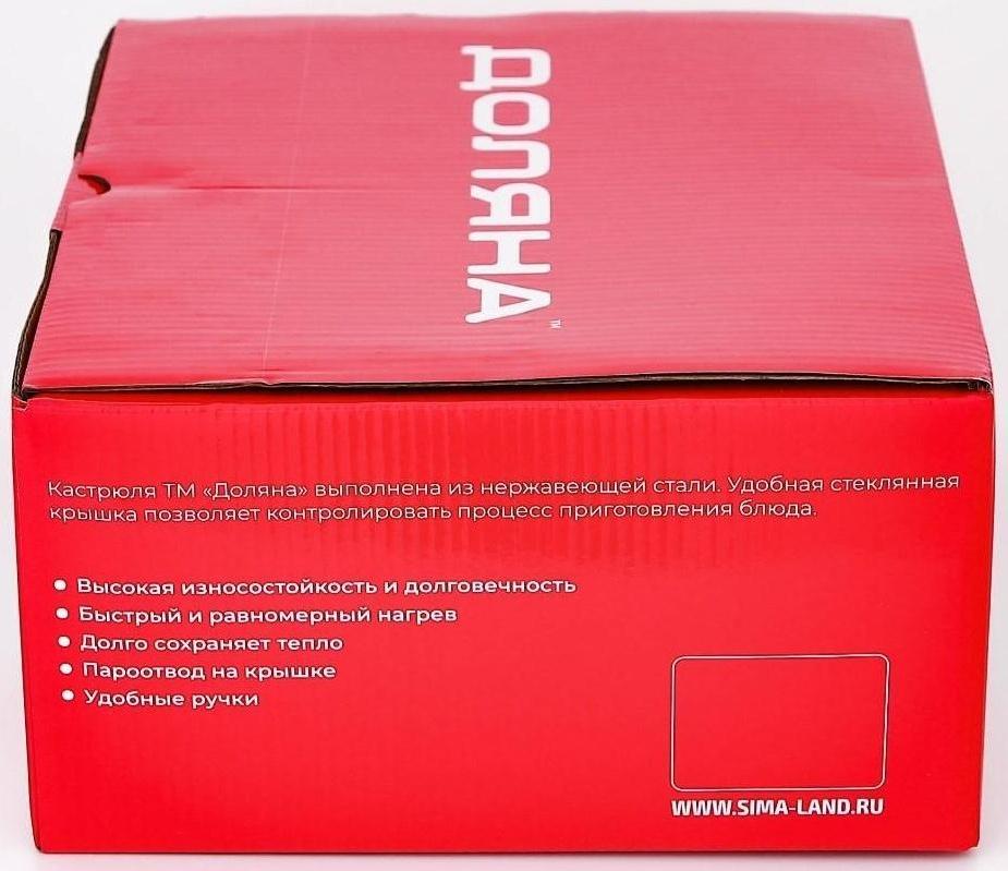 Кастрюля из нержавеющей стали Доляна «Гретте», 4,2 л, d=22 см, стеклянная крышка, капсульное дно, индукция