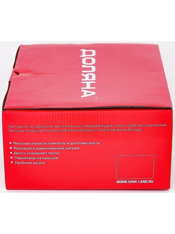 Кастрюля из нержавеющей стали Доляна «Гретте», 4,2 л, d=22 см, стеклянная крышка, капсульное дно, индукция