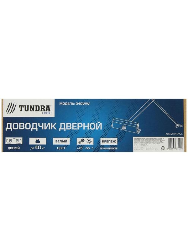 Доводчик дверной ТУНДРА D40WW, до 40 кг, белый