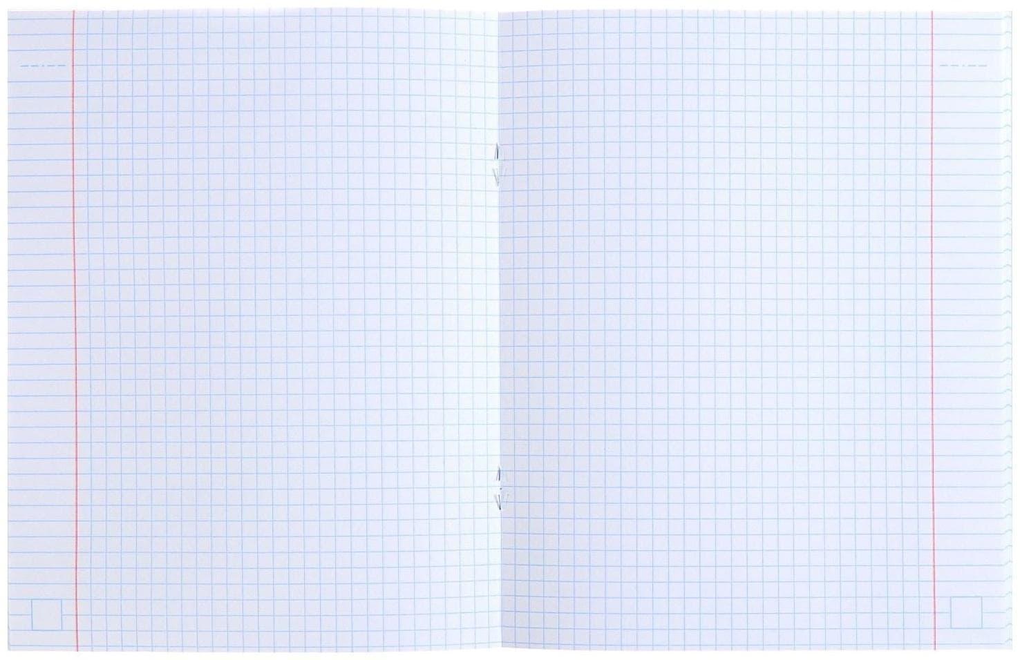 Тетрадь 48 листов, в клетку, Hatber METALLIC 