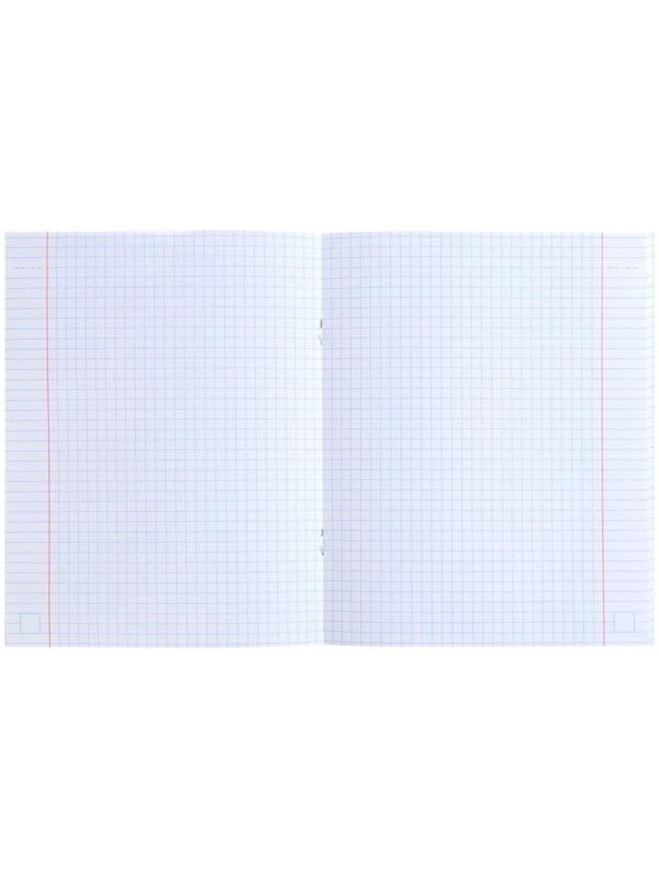 Тетрадь 48 листов, в клетку, Hatber METALLIC 