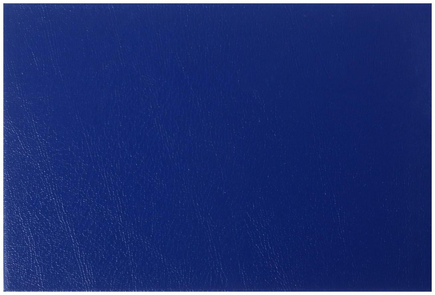 Зачетная книжка для ВУЗ 140 х 100 мм, Calligrata, жёсткая обложка, бумвинил, цвет синий