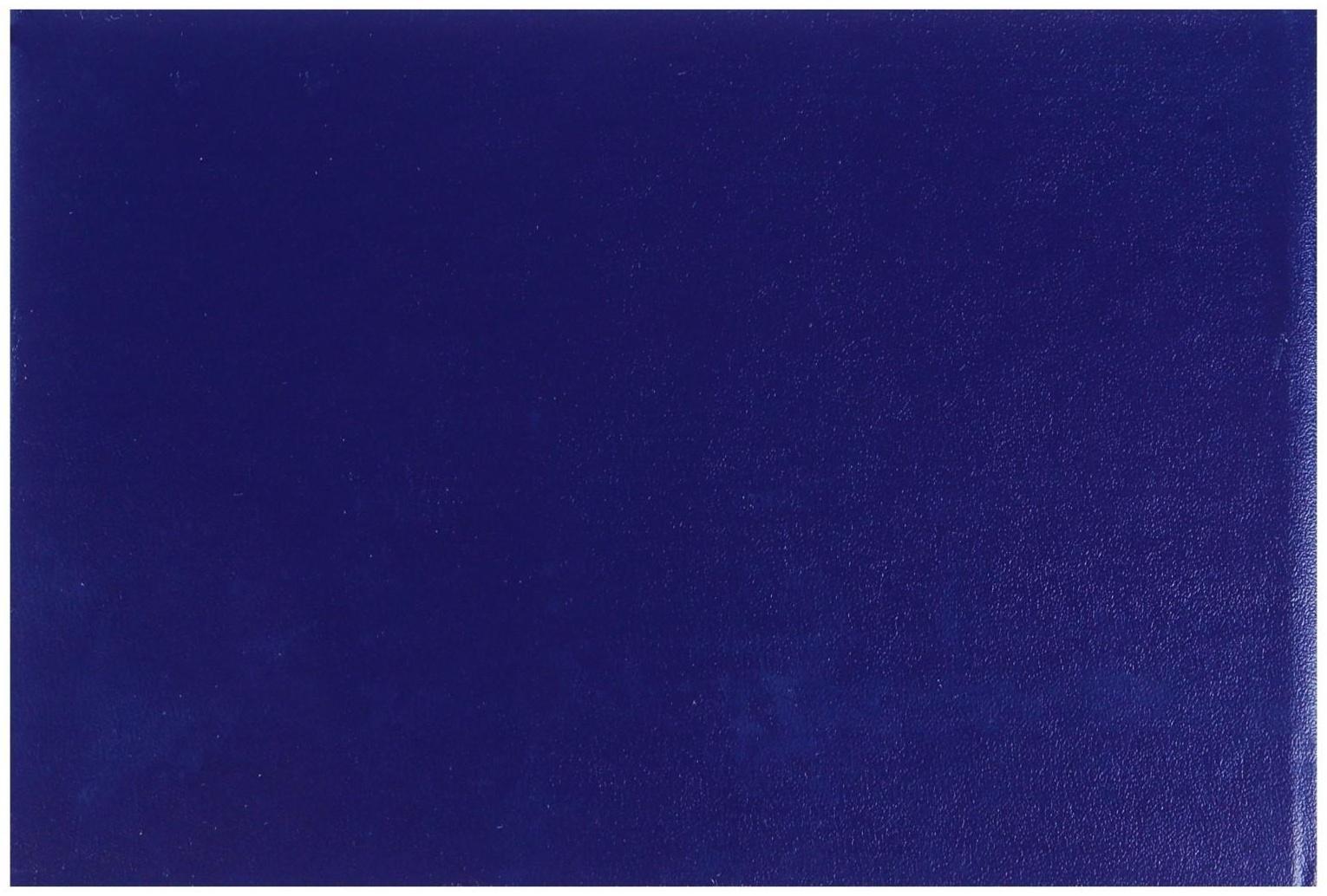 Зачетная книжка для ВУЗ 140 х 100 мм, Calligrata, жёсткая обложка, бумвинил, цвет синий