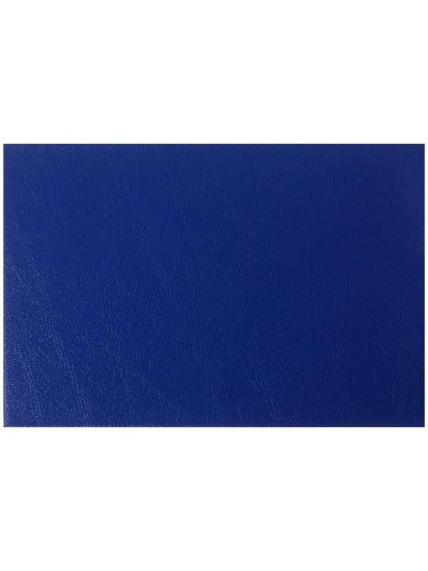 Зачетная книжка для ВУЗ 140 х 100 мм, Calligrata, жёсткая обложка, бумвинил, цвет синий