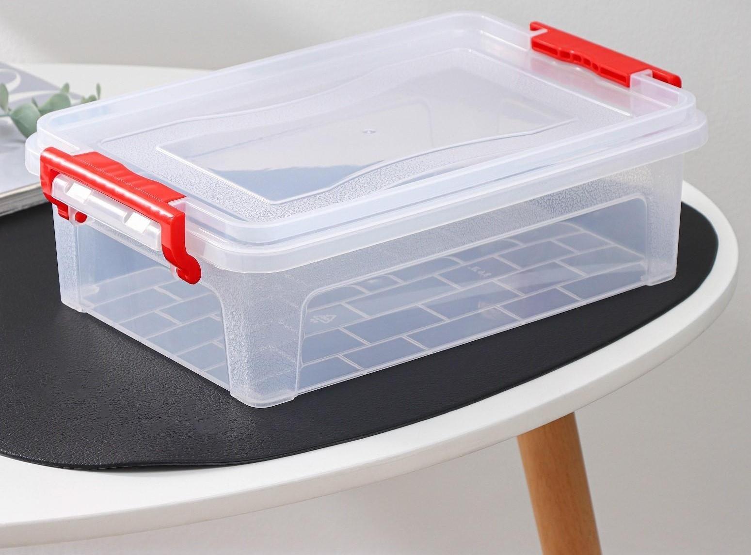 Контейнер для хранения с крышкой, 3,6 л, 31×20×9 см, цвет прозрачный