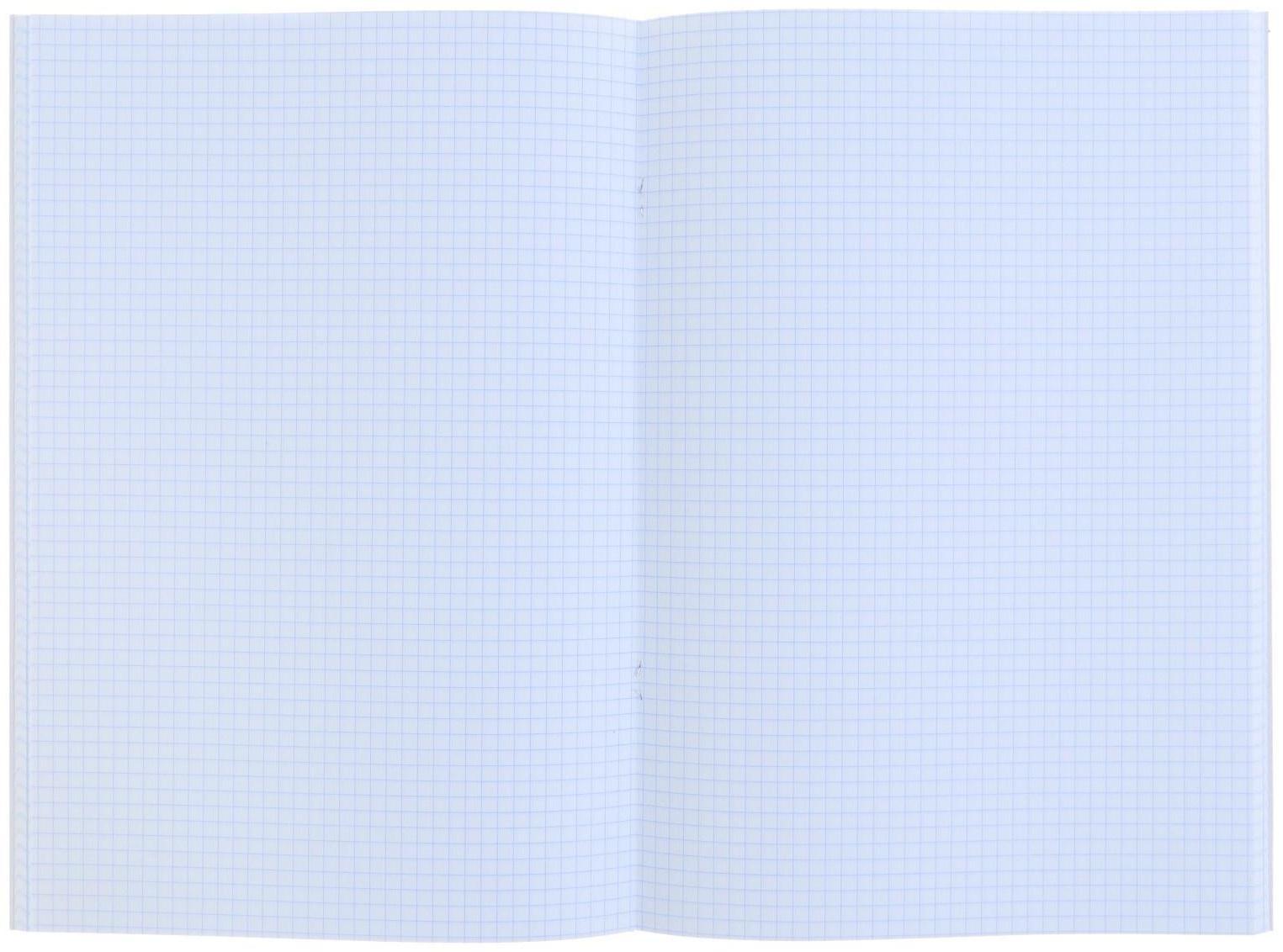 Тетрадь А4, 48 листов в клетку 