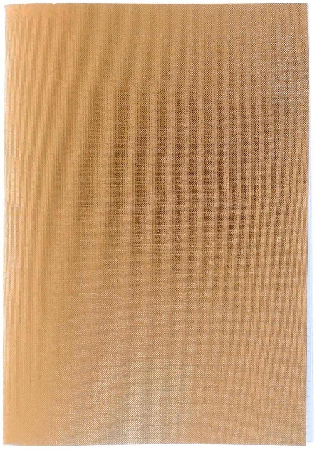 Тетрадь А4, 48 листов в клетку 