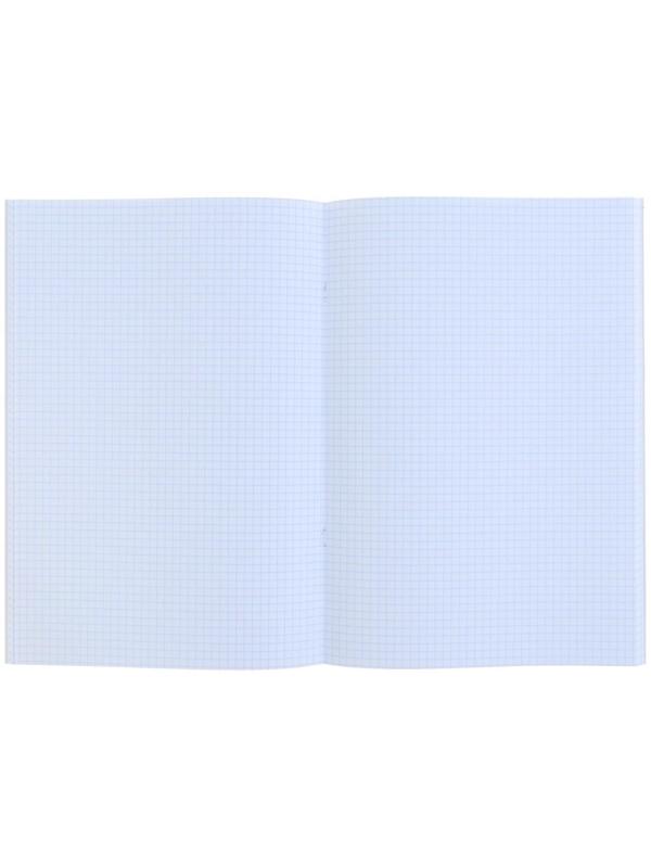 Тетрадь А4, 48 листов в клетку 
