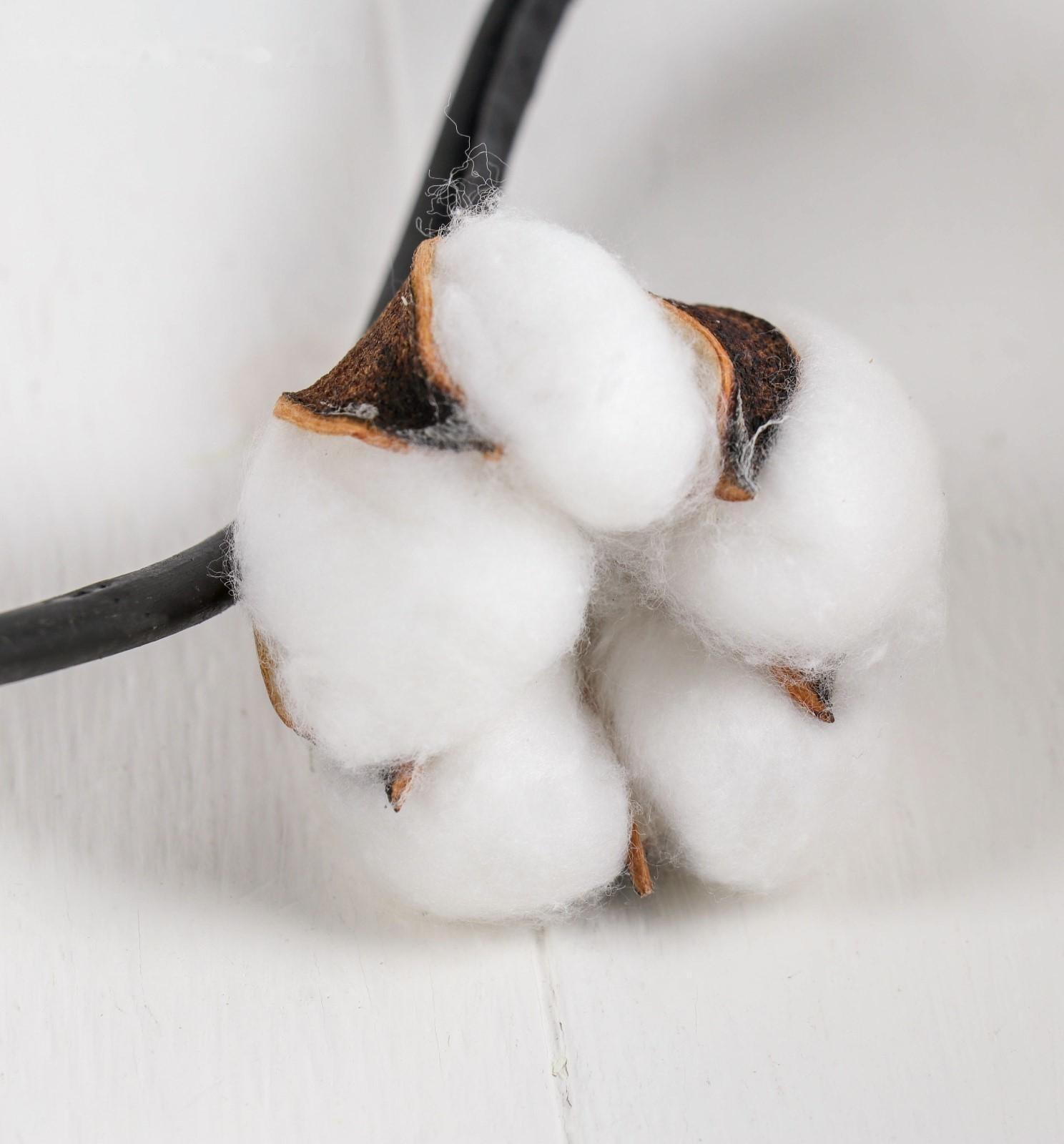 Декор тинги 