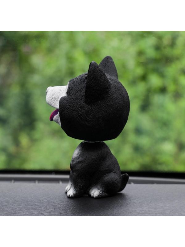 Собака на панель авто, качающая головой, хаски, черный