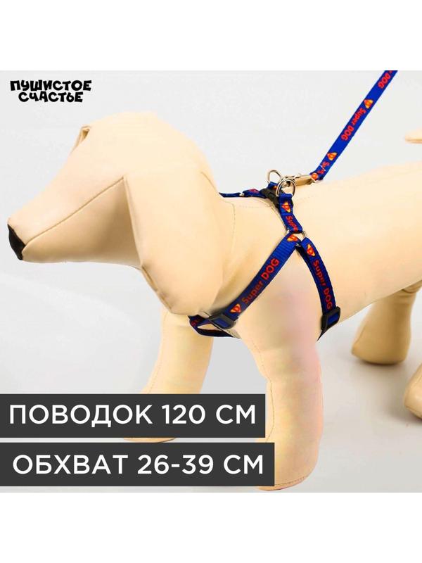 Комплект Super Dog, шлейка 26-39 см, поводок 120х1 см