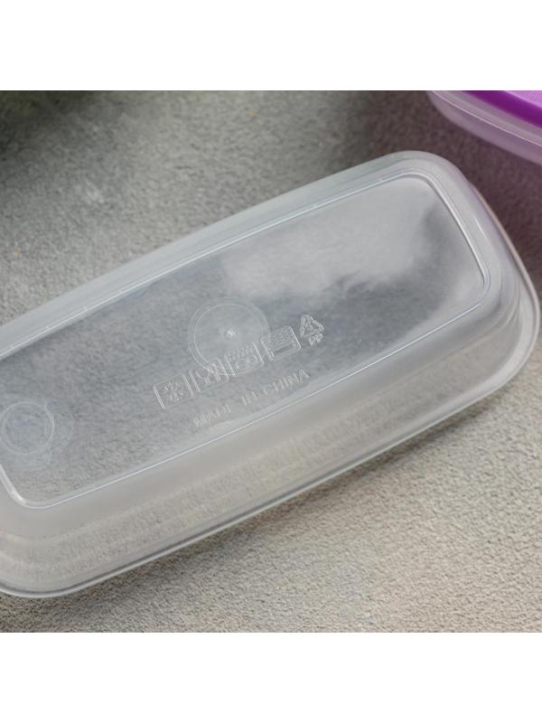 Набор ланч-боксов пластиковых прямоугольных «Радуга», 4 шт: 19×12/16×9/14×7/12,5×5,5 см, цвет МИКС