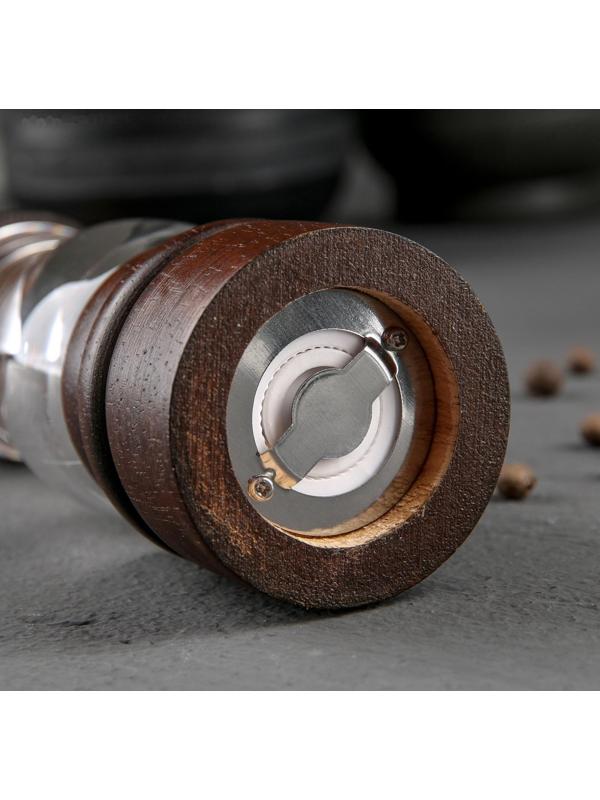 Мельница для специй «Эстет», 22×5,5 см, керамический механизм, дуб