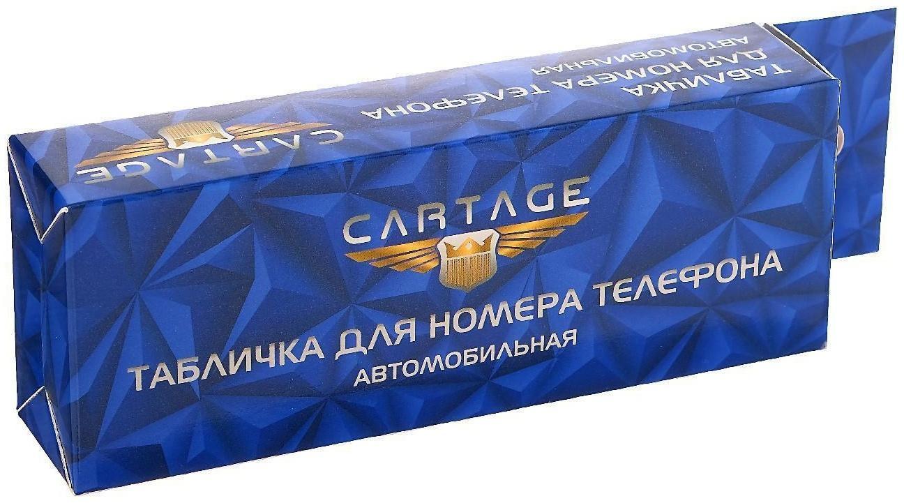 Табличка Cartage, для номера телефона с крышкой, люминесцентные цифры, белый