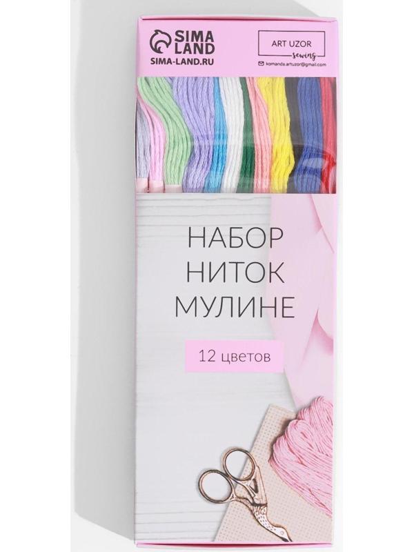 Набор ниток мулине №13/14, 8 ± 1 м, 12 шт