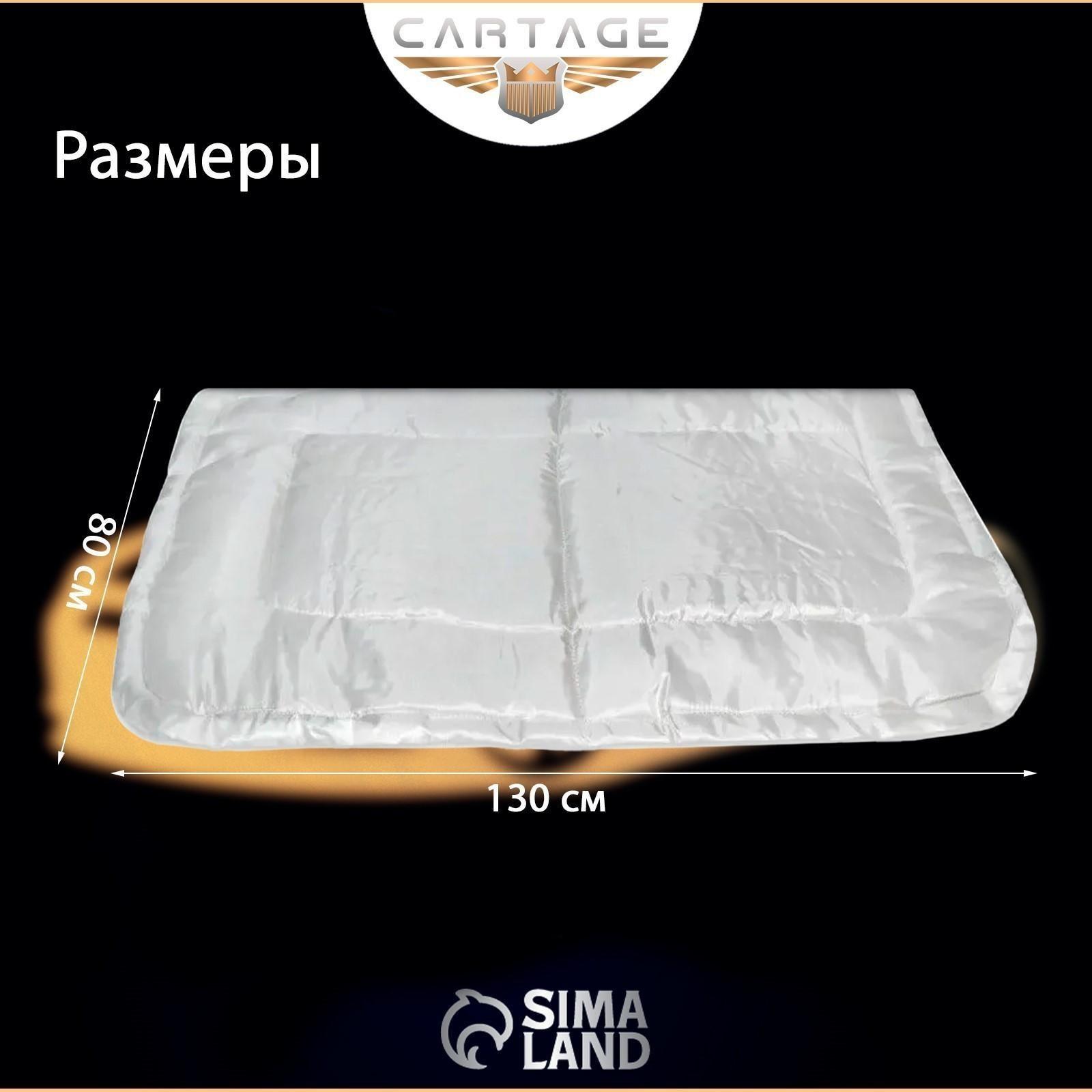 Автоодеяло для двигателя Cartage, 130 х 80 см, особо плотное