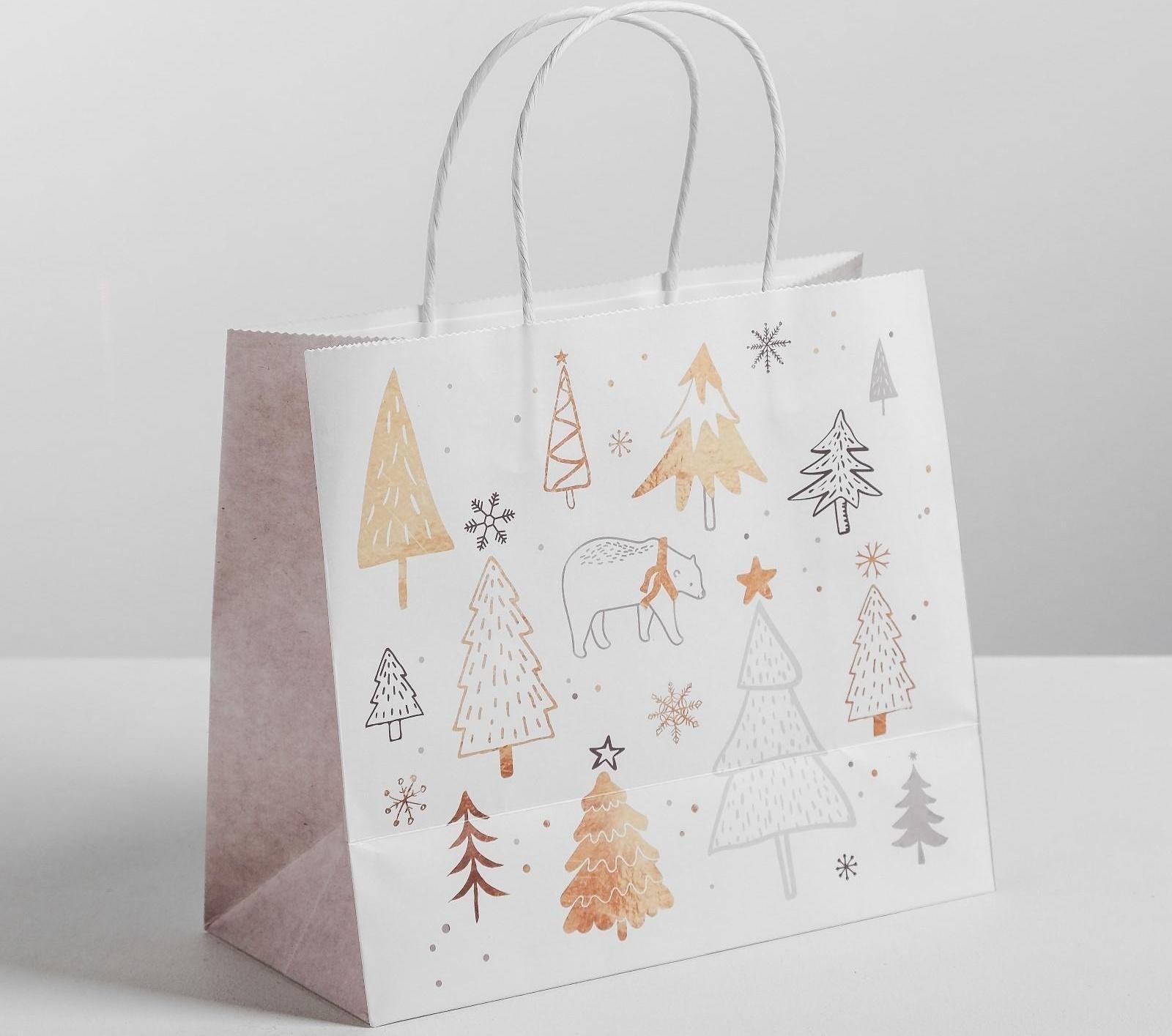 Пакет подарочный крафт «Волшебство», 25 х 22 х 12 см