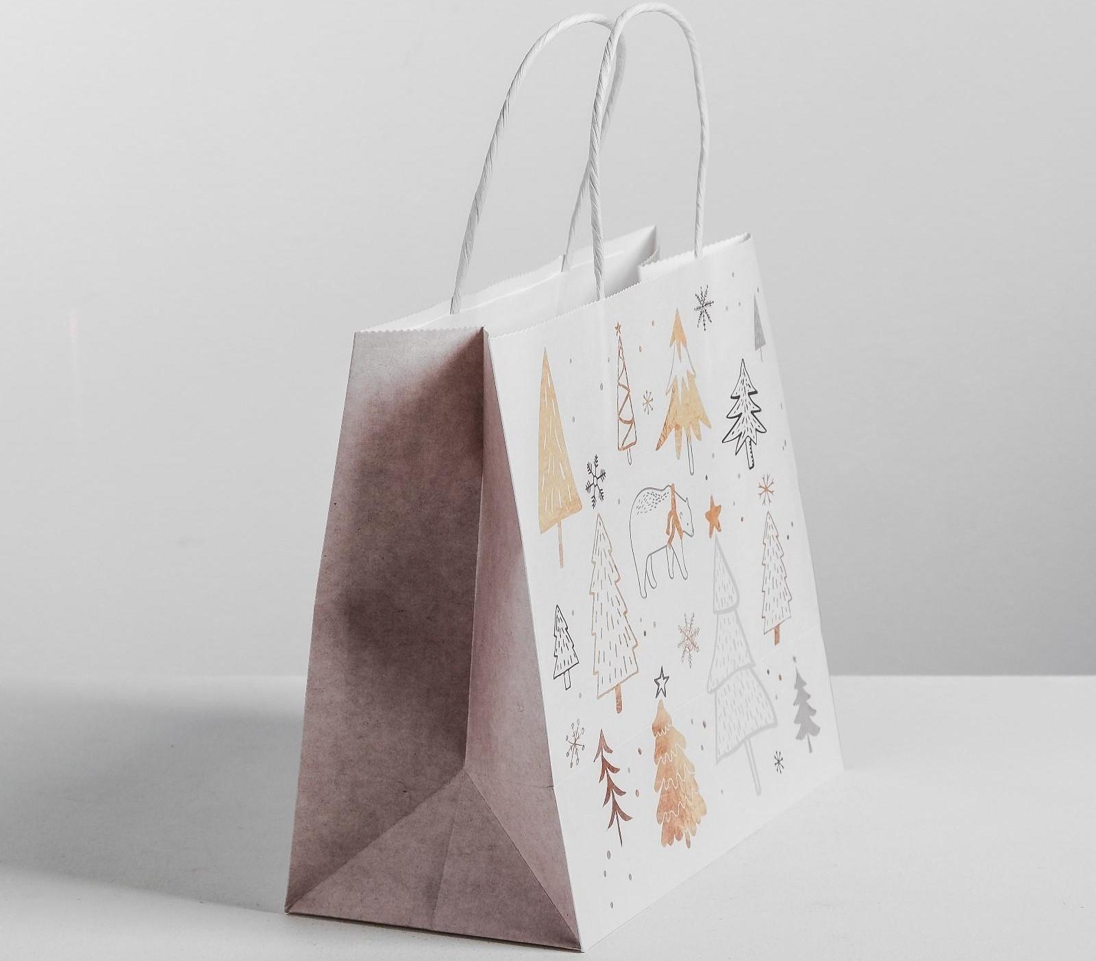 Пакет подарочный крафт «Волшебство», 25 х 22 х 12 см