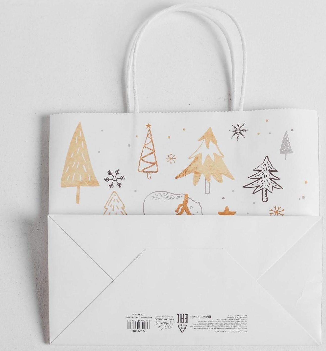 Пакет подарочный крафт «Волшебство», 25 х 22 х 12 см