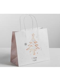 Пакет подарочный крафт «Волшебство», 25 х 22 х 12 см