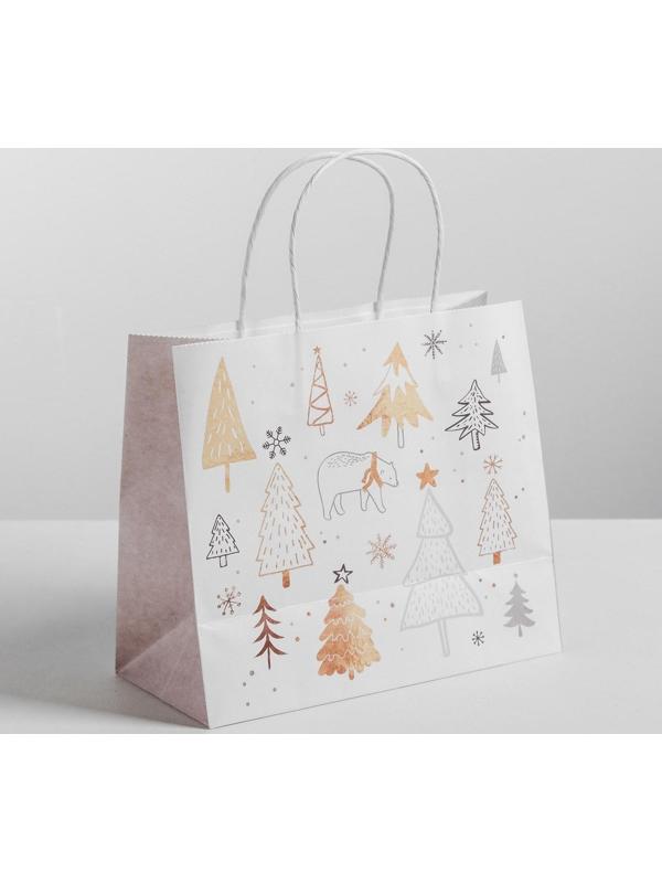 Пакет подарочный крафт «Волшебство», 25 х 22 х 12 см