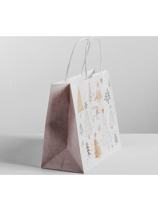Пакет подарочный крафт «Волшебство», 25 х 22 х 12 см