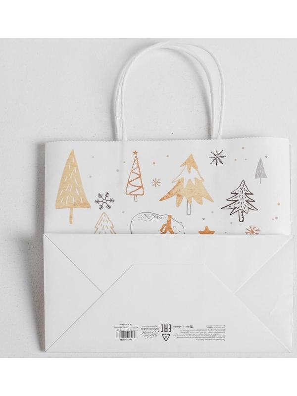 Пакет подарочный крафт «Волшебство», 25 х 22 х 12 см