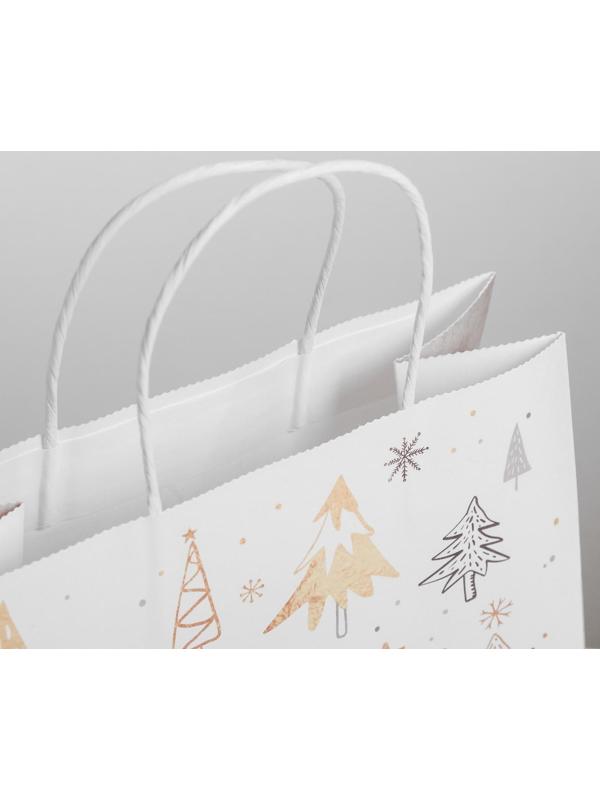 Пакет подарочный крафт «Волшебство», 25 х 22 х 12 см