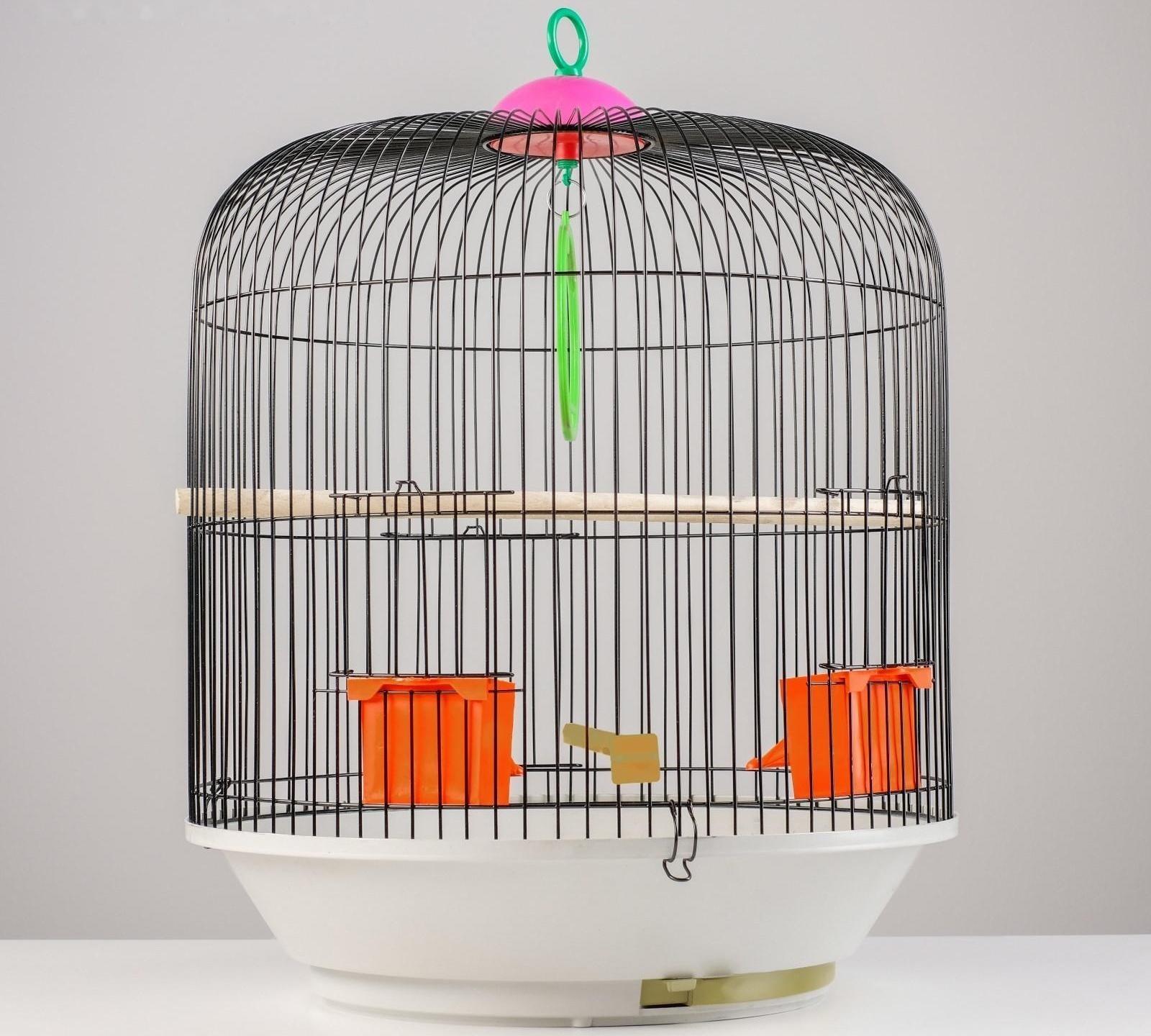 Клетка для птиц круглая, двухъярусная сварная, большой поддон, 39 x 44 см, микс цветов
