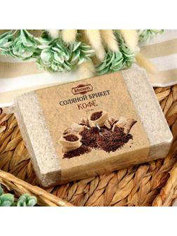 Соляной брикет  