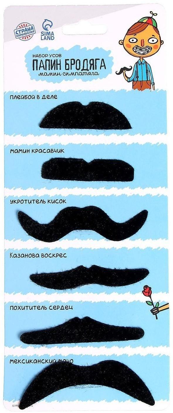 Набор усов «Папин бродяга»