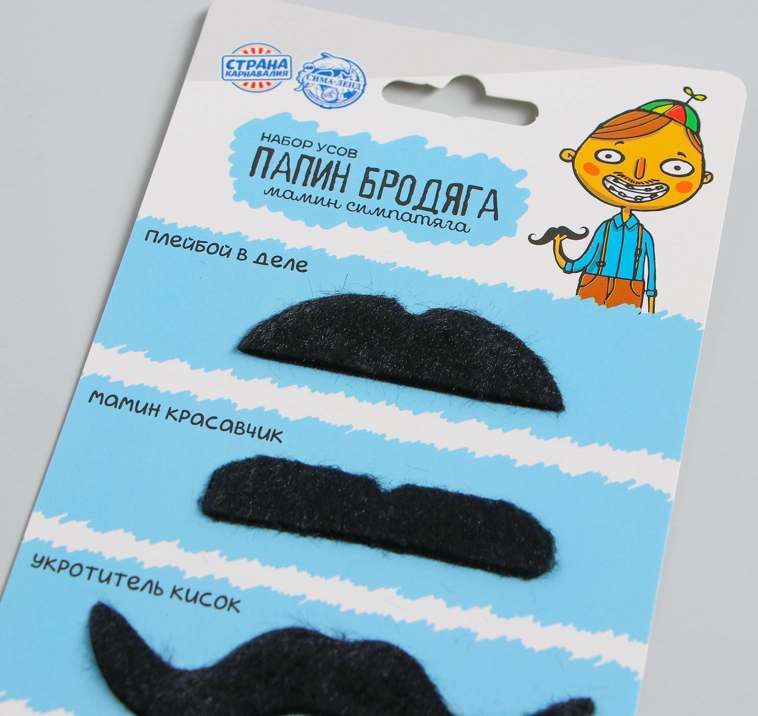 Набор усов «Папин бродяга»