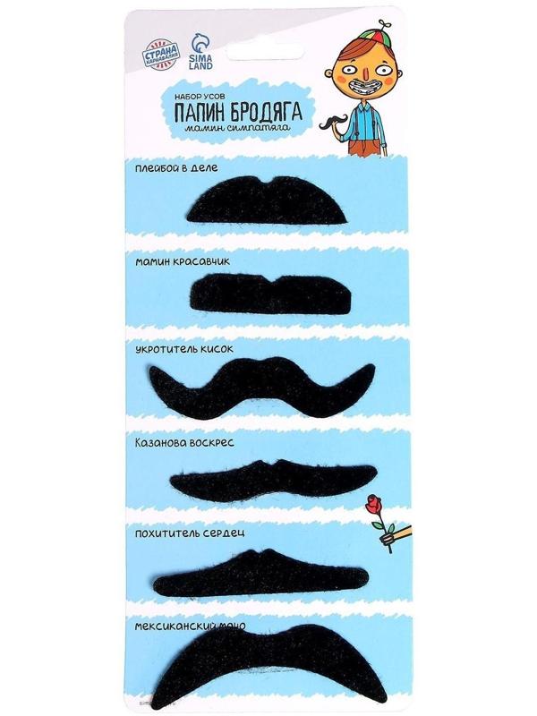 Набор усов «Папин бродяга»