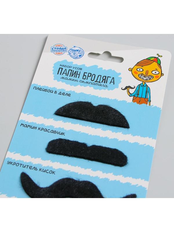 Набор усов «Папин бродяга»
