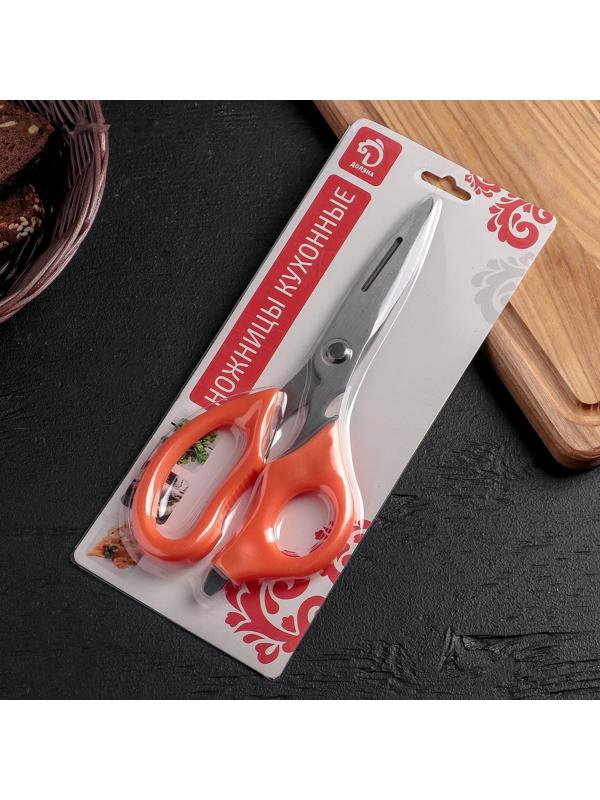 Ножницы кухонные Доляна «Фил», 22 см, универсальные 6 в1