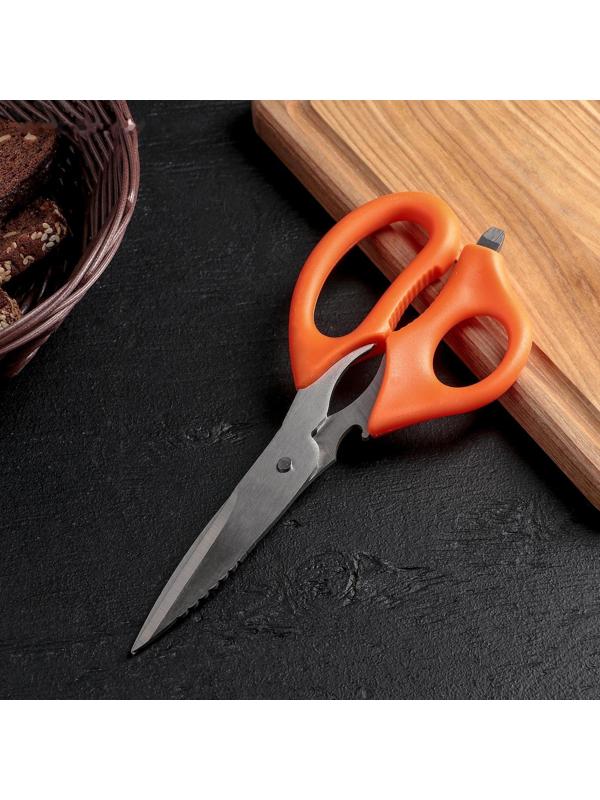 Ножницы кухонные Доляна «Фил», 22 см, универсальные 6 в1