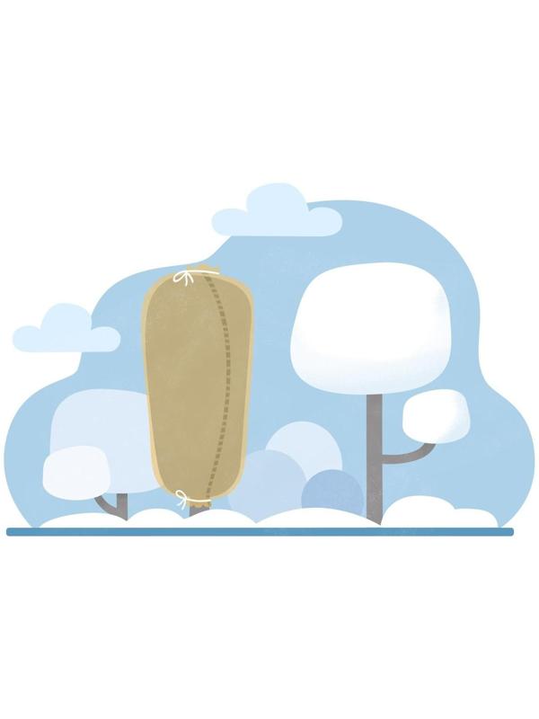 Чехол для растений, прямоугольный на молнии, 160 × 120 см, спанбонд с УФ-стабилизатором, плотность 60 г/м², цвет МИКС