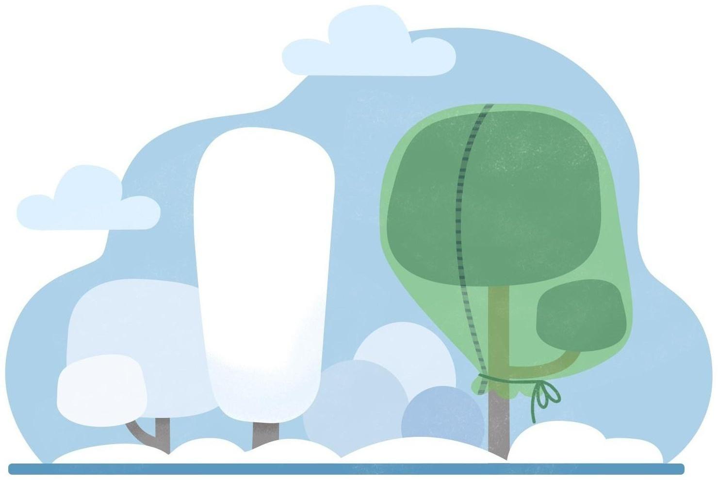 Чехол для растений, прямоугольный на молнии, 200 × 160 см, спанбонд с УФ-стабилизатором, плотность 60 г/м², цвет МИКС