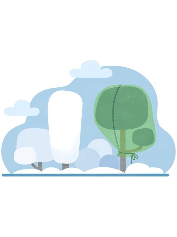 Чехол для растений, прямоугольный на молнии, 200 × 160 см, спанбонд с УФ-стабилизатором, плотность 60 г/м², цвет МИКС