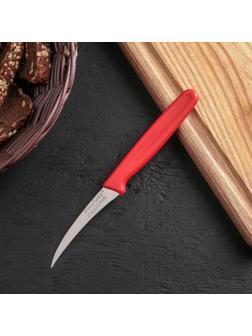 Нож для чистки овощей «Эконом», лезвие 7,3 см, цвет МИКС