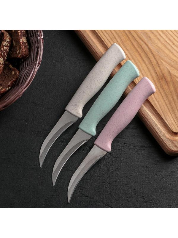 Нож для чистки овощей Доляна «Ринго», лезвие 7,5 см, цвет МИКС