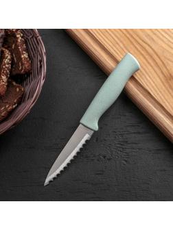 Нож для чистки рыбы Доляна «Ринго», зубчатое лезвие 9 см, цвет МИКС