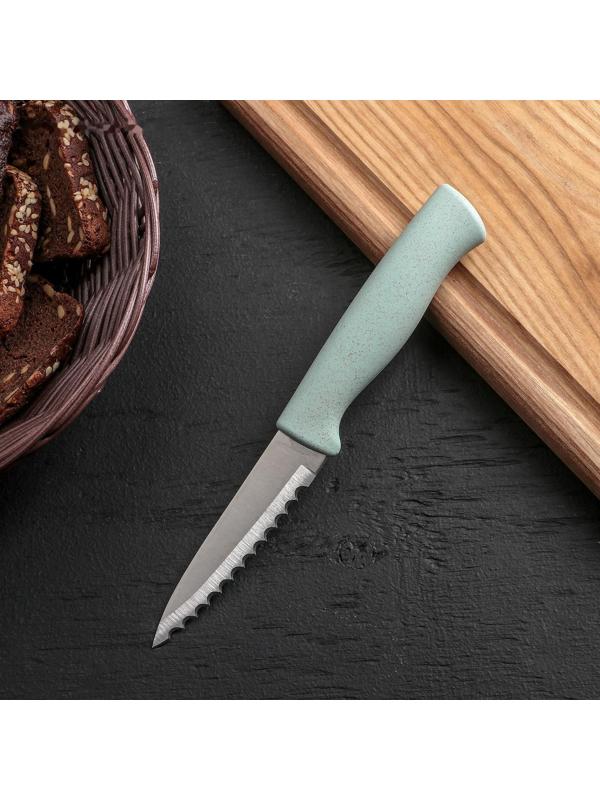 Нож для чистки рыбы Доляна «Ринго», зубчатое лезвие 9 см, цвет МИКС