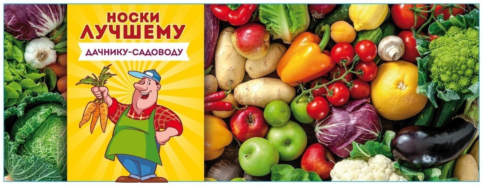 Носки в банке 