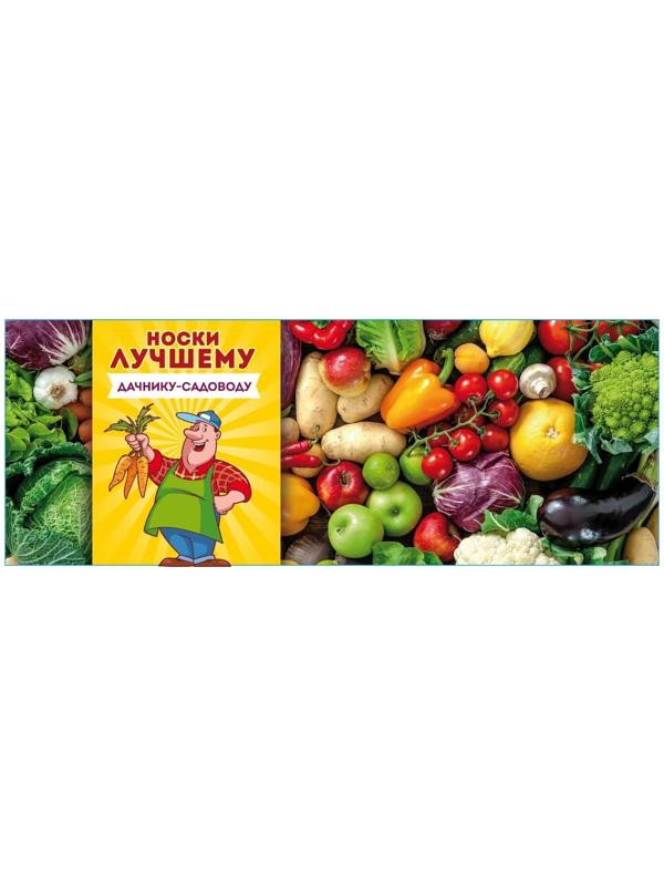 Носки в банке 